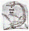 a dead fish