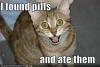 lolcat_funny_picture_found_pills_ate_eat.jpg