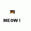 KrazyKitty